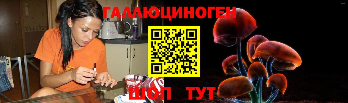 Псилоцибиновые грибы ЛСД Губкинский